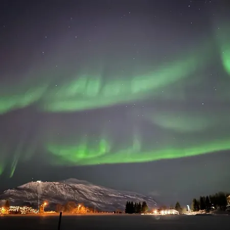 Arctic Nine - Nr 7 - On The Island